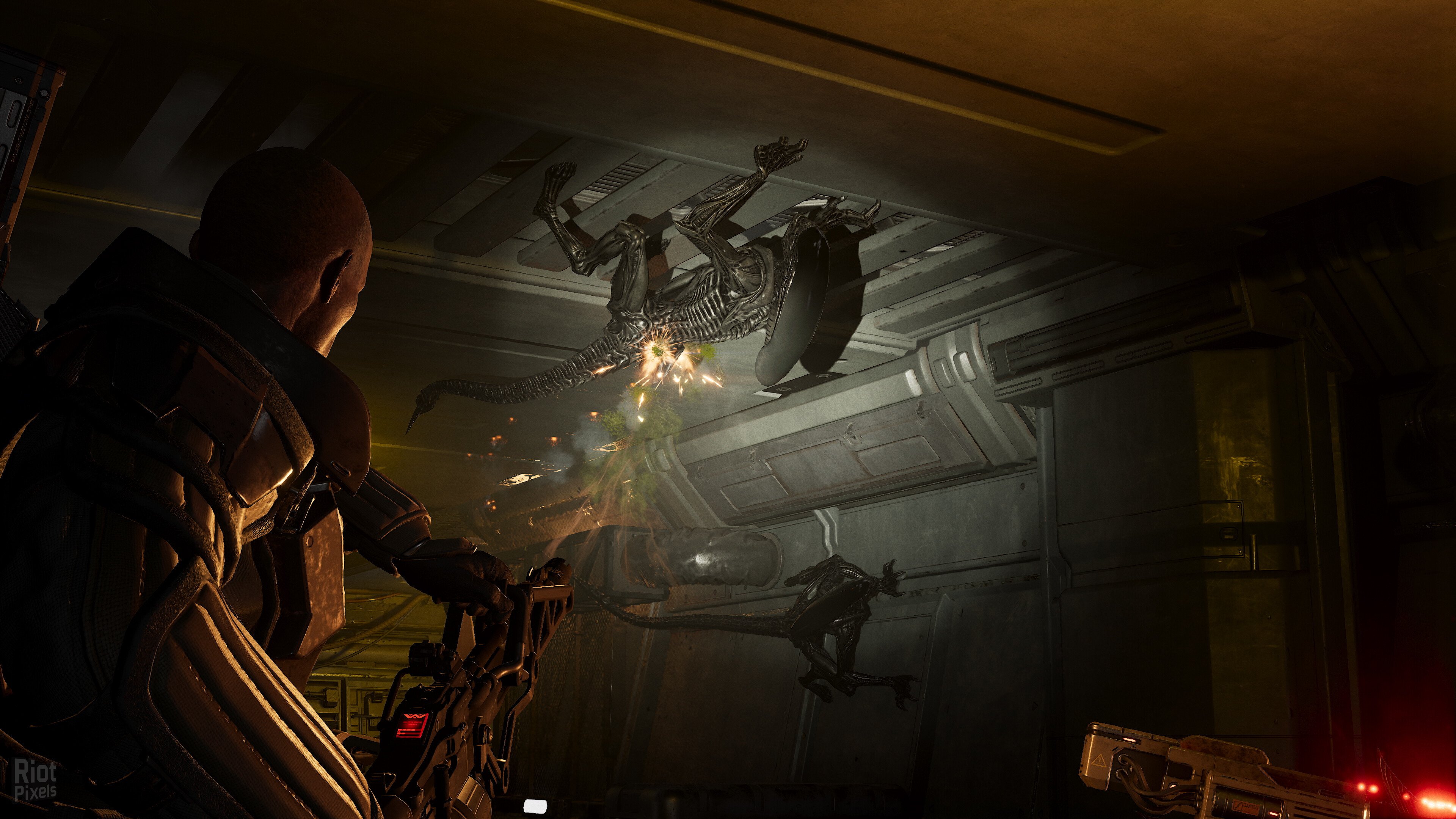 图片[7]-Aliens: Fireteam Elite 2 – 40th Anniversary Premium Edition, v1.0.0 Build 118626 + 2 DLCs-HohohoGames