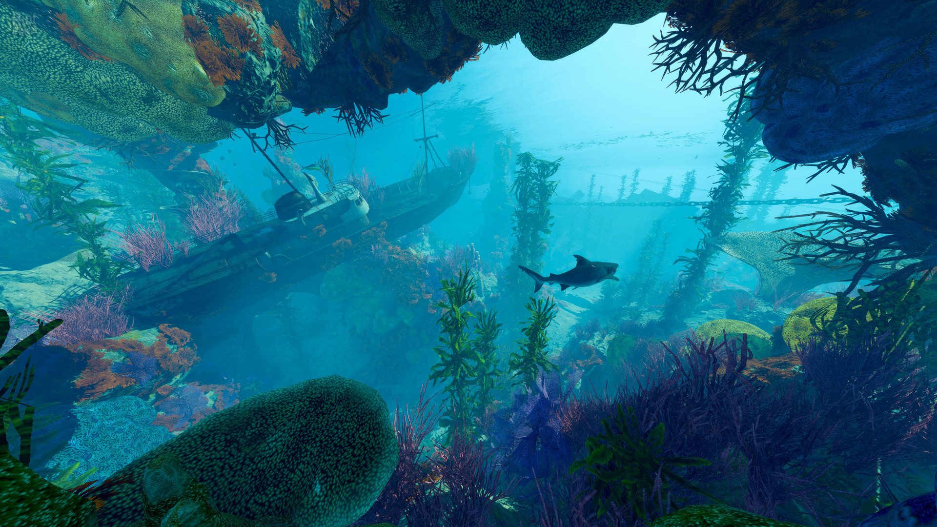 图片[13]-Maneater: Apex Edition, v431513 (DRM-free) + Truth Quest DLC-HohohoGames