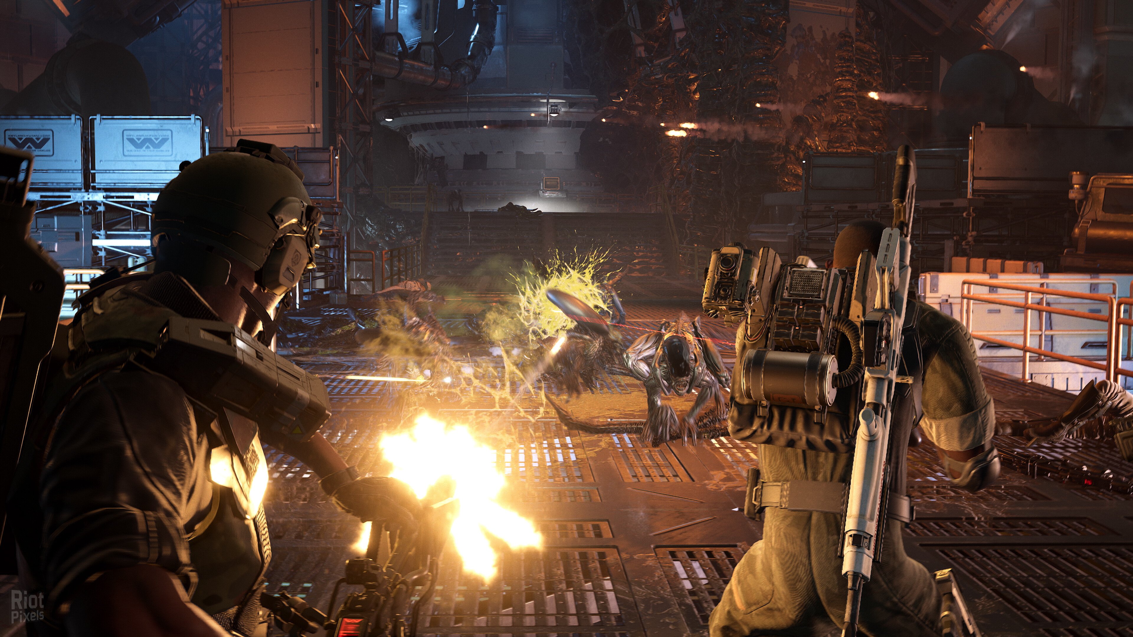 图片[2]-Aliens: Fireteam Elite 2 – 40th Anniversary Premium Edition, v1.0.0 Build 118626 + 2 DLCs-HohohoGames