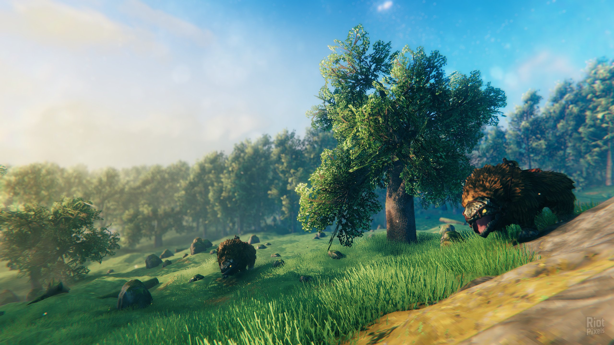[8]-Valheim – v1.0.7 (Release) + 2 DLCs/Bonuses Download